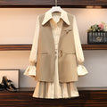 New Spring Dress Women''s Leisure Fashion Age Reduction Suit