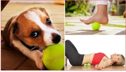 3 Pcs Tennis Trainer Ball, Training replacement Balls with String, Rebound Ball with Cord ideal for indoor and outdoor tennis practice with a bounce ball-durable
