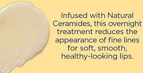 Burt's Bees Lip Mask, Overnight Lip Treatment, Intense Lip Repair with Ceramides & Ultra-Conditioning Oils, 7.08g