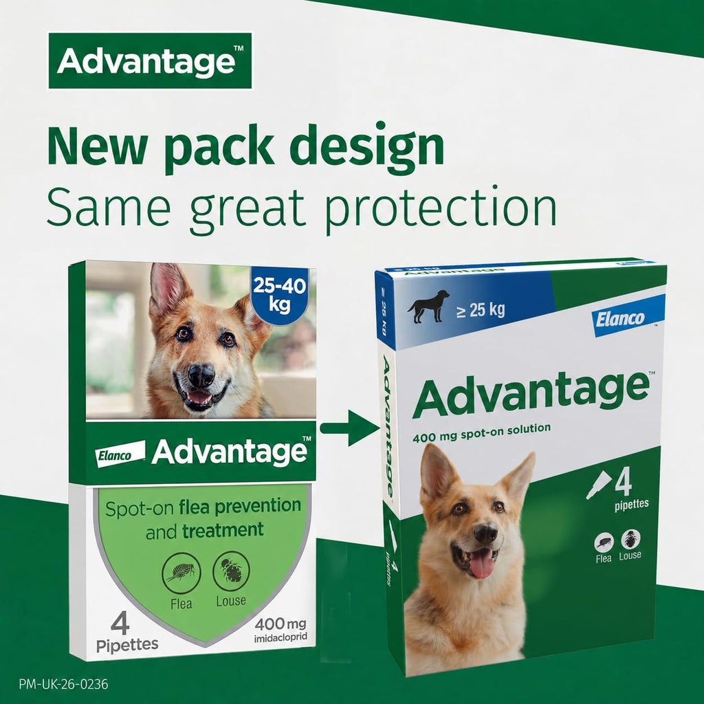 Advantage Spot On Flea Treatment, 4 Pack, Large Cats & Rabbits 4kg+, 80mg | Large cat and rabbit flea drops, Kills fleas within 24 hours, Protects for 4 weeks, Easy to apply, Monthly prevention