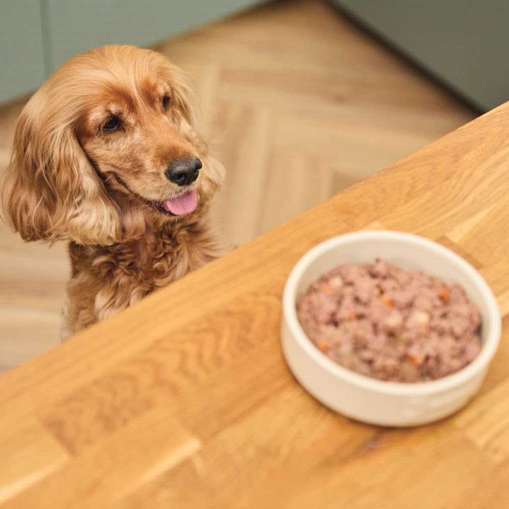 Lily's Kitchen Natural Adult Dog Food Wet Trays - Classic Dinners Multipack - Chicken, Lamb & Beef - Complete Meal Recipes (6 Trays x 150g)