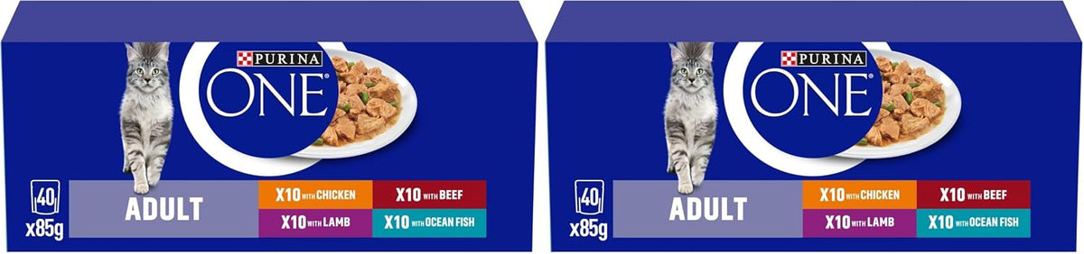 PURINA ONE Mini Fillets Mixed Selection in Gravy Adult Wet Cat Food 40x85g