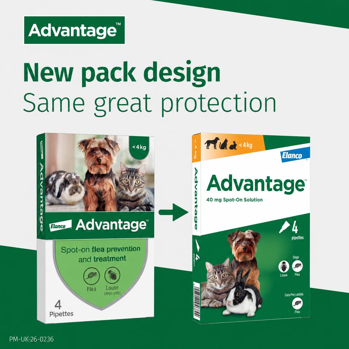 Advantage Spot On Flea Treatment, 4 Pack, Large Cats & Rabbits 4kg+, 80mg | Large cat and rabbit flea drops, Kills fleas within 24 hours, Protects for 4 weeks, Easy to apply, Monthly prevention