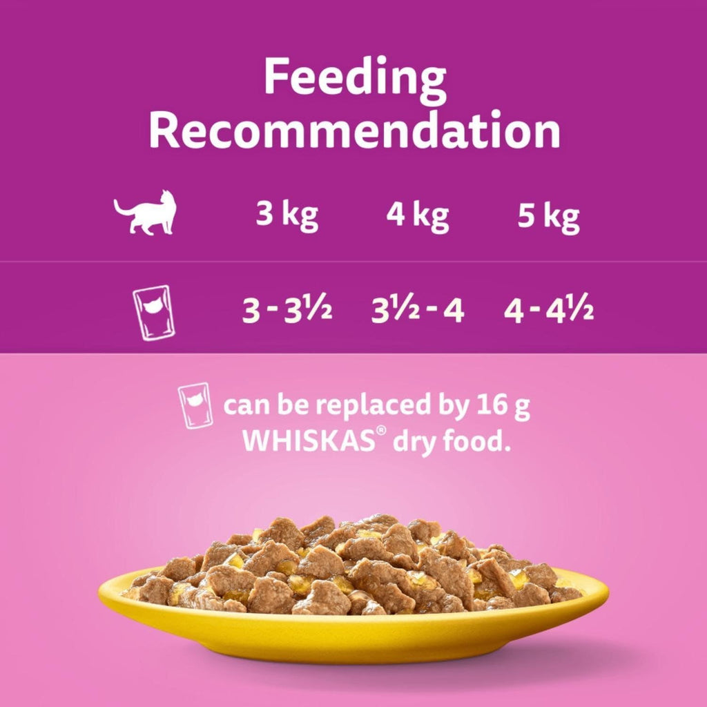 WHISKAS DUO Adult Wet Cat Food in Jelly 40x85g Surf & Turf