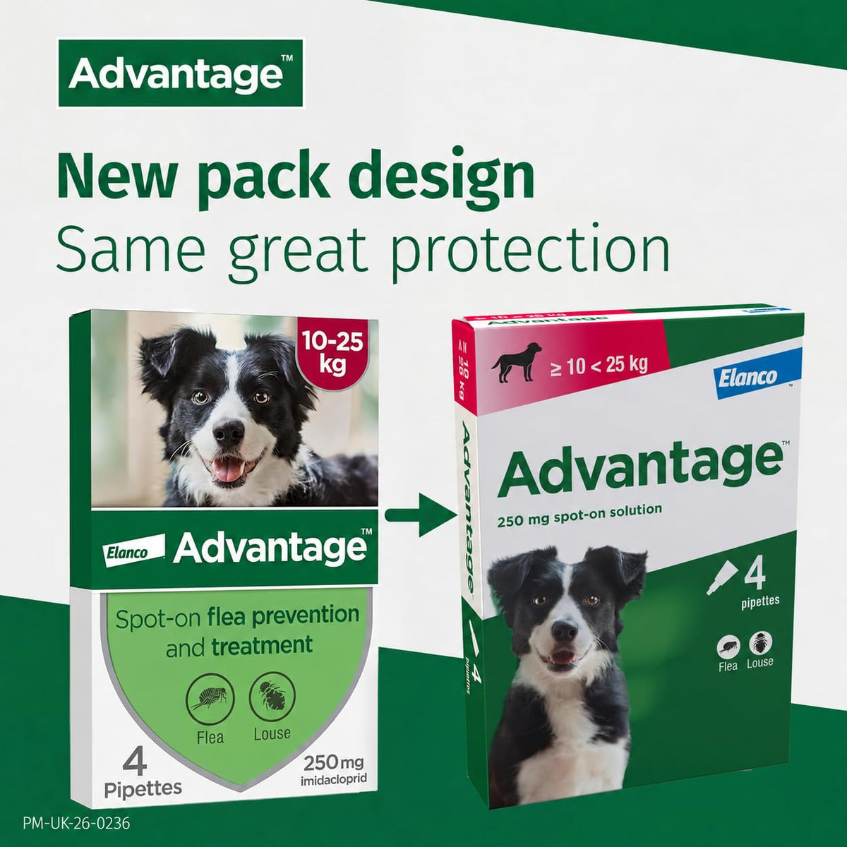 Advantage Spot On Flea Treatment, 4 Pack, Large Cats & Rabbits 4kg+, 80mg | Large cat and rabbit flea drops, Kills fleas within 24 hours, Protects for 4 weeks, Easy to apply, Monthly prevention
