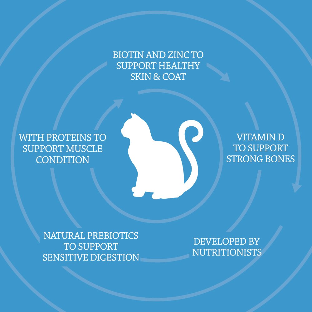 by Amazon - Complete Dry Cat Food with Salmon, Tuna and Vegetables, 1 pack of 3kg