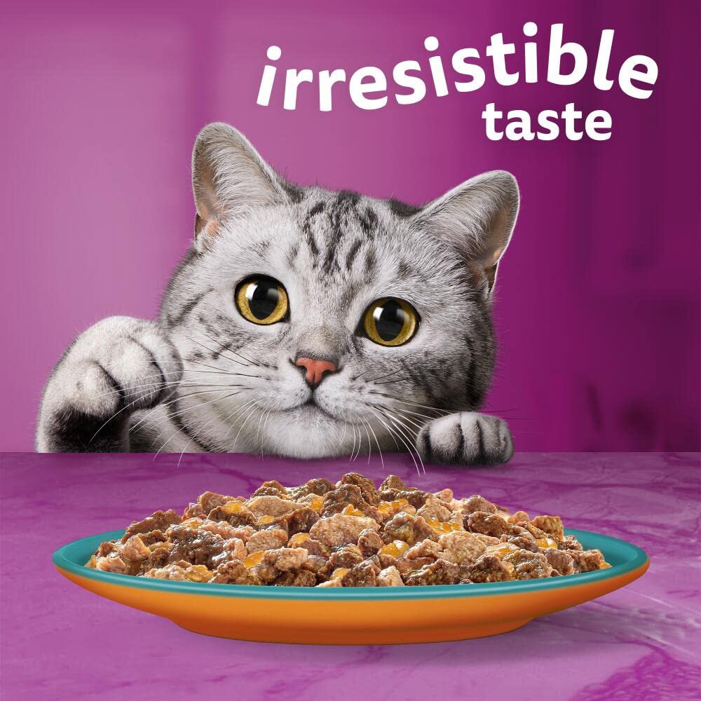 WHISKAS DUO Adult Wet Cat Food in Jelly 40x85g Surf & Turf
