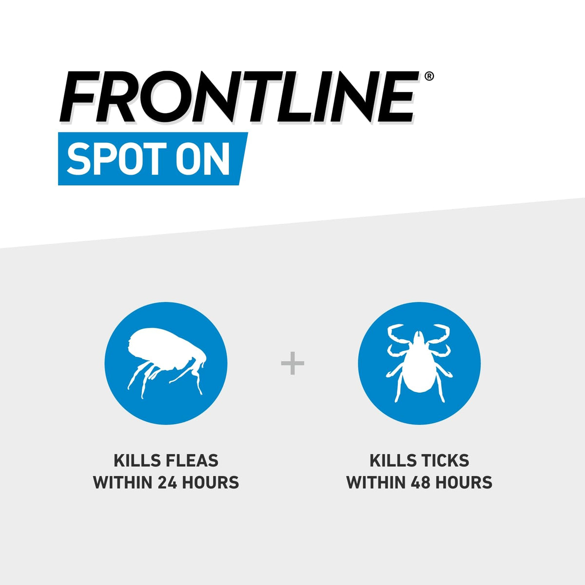 FRONTLINE Spot On Flea & Tick Treatment for Cats - 6 Pipettes