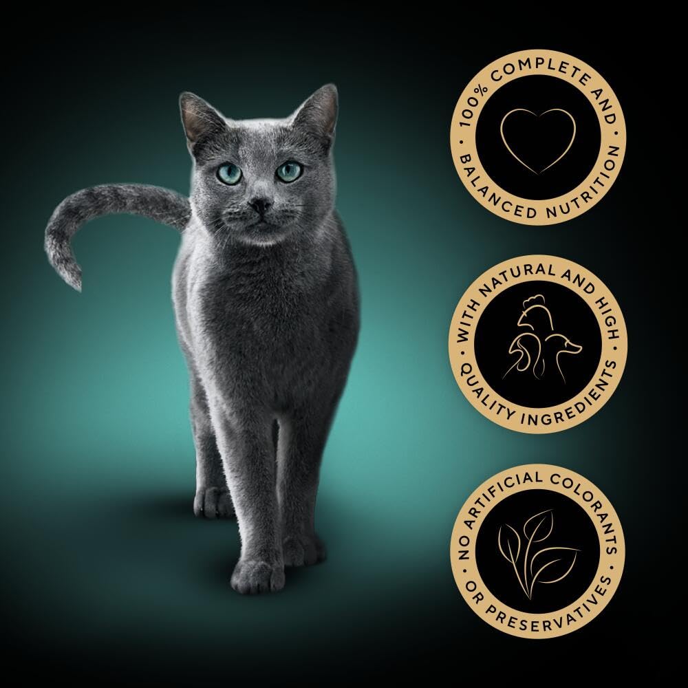 Sheba Select Slices Cat Wet Food - Poultry Selection in Gravy - 40x85g (Pack of 1)