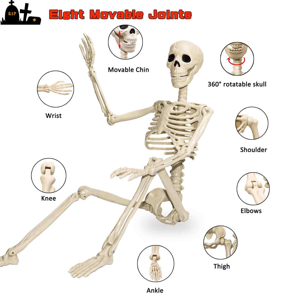 2 Pack 36"Halloween Skeleton - 3 ft Life Size Human Skeleton with Full Body Posable Joints Plastic Skeleton for Halloween Skeletons Decor Yard Patio Lawn Garden Skeleton Props Spooky Party Decoration