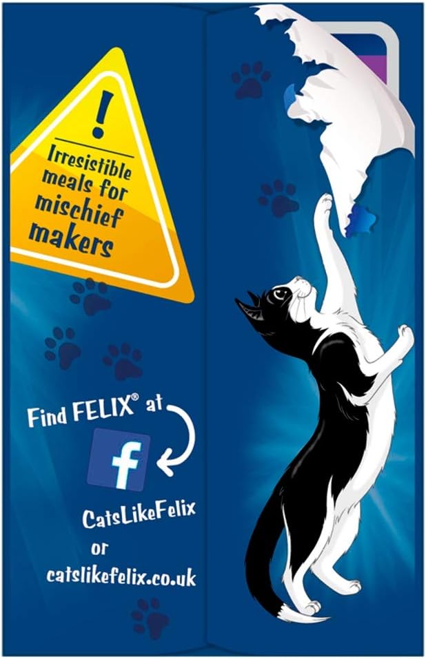 FELIX Doubly Delicious Countryside Selection in Jelly Wet Cat Food 40x85g