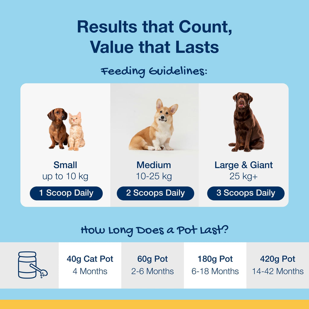 ProDen PlaqueOff 180g Powder for Dogs - VOHC Accepted 18-Month Supply