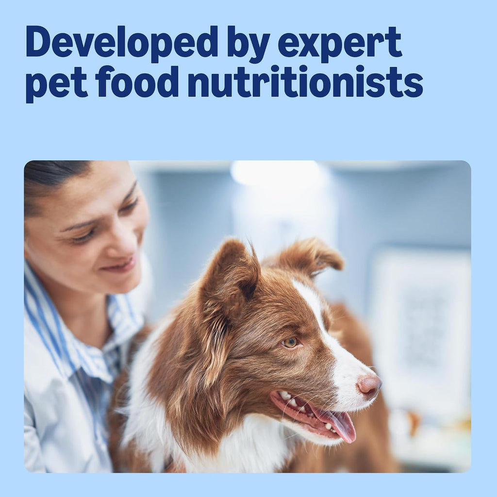 by Amazon Complete Wet Food for Adult Dogs, Meat Selection in Gravy, 4.8 kg (48 pouches of 100g)