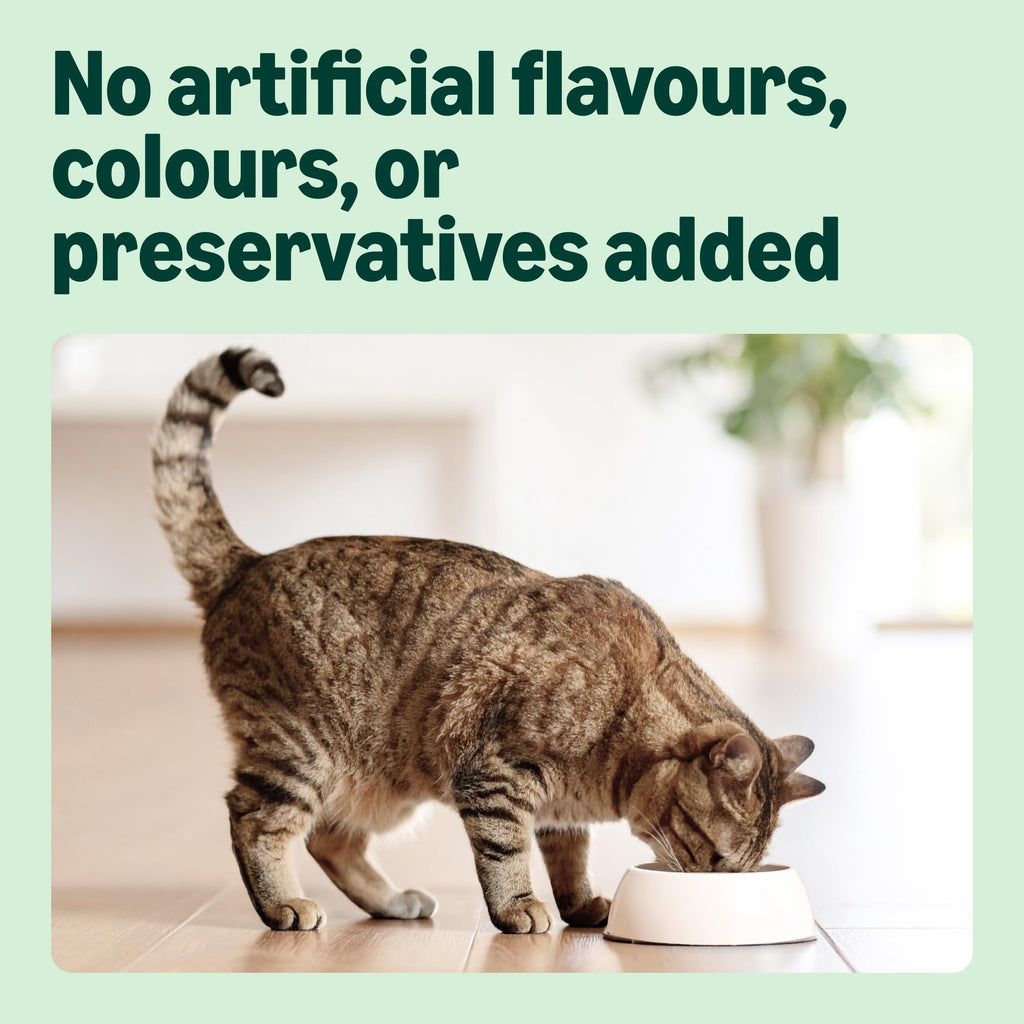 by Amazon - Complete Dry Cat Food with Salmon, Tuna and Vegetables, 1 pack of 3kg