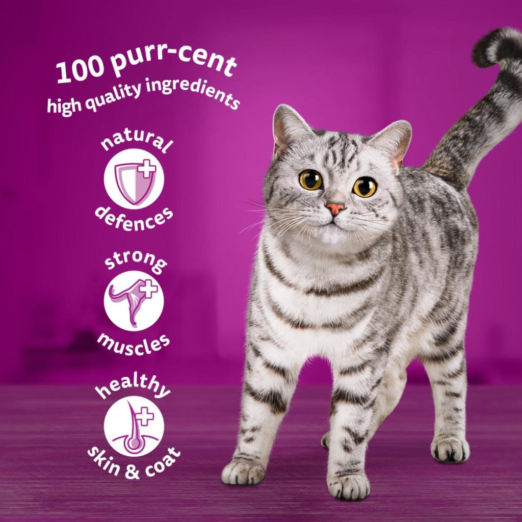 WHISKAS DUO Adult Wet Cat Food in Jelly 40x85g Surf & Turf
