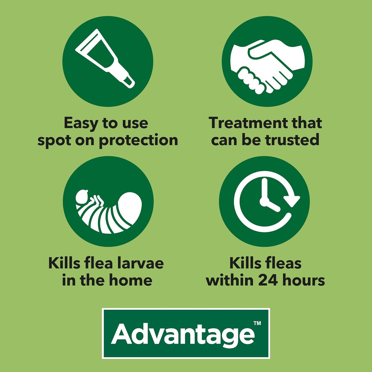 Advantage Spot On Flea Treatment, 4 Pack, Large Cats & Rabbits 4kg+, 80mg | Large cat and rabbit flea drops, Kills fleas within 24 hours, Protects for 4 weeks, Easy to apply, Monthly prevention
