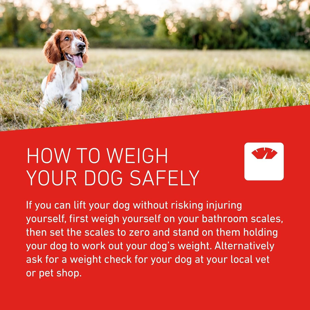 FRONTLINE WORMER - Worming Tablets for Dogs - 2 Tablets