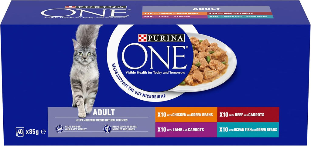 PURINA ONE Mini Fillets Mixed Selection in Gravy Adult Wet Cat Food 40x85g