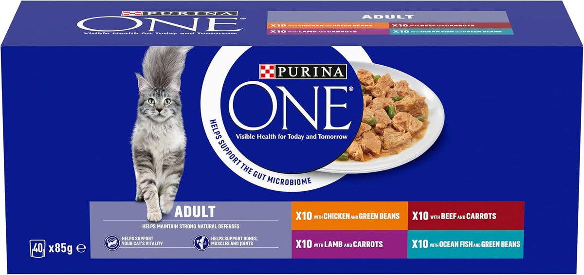 PURINA ONE Mini Fillets Mixed Selection in Gravy Adult Wet Cat Food 40x85g