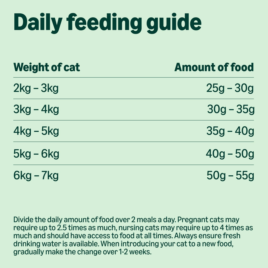 by Amazon - Complete Dry Cat Food with Salmon, Tuna and Vegetables, 1 pack of 3kg