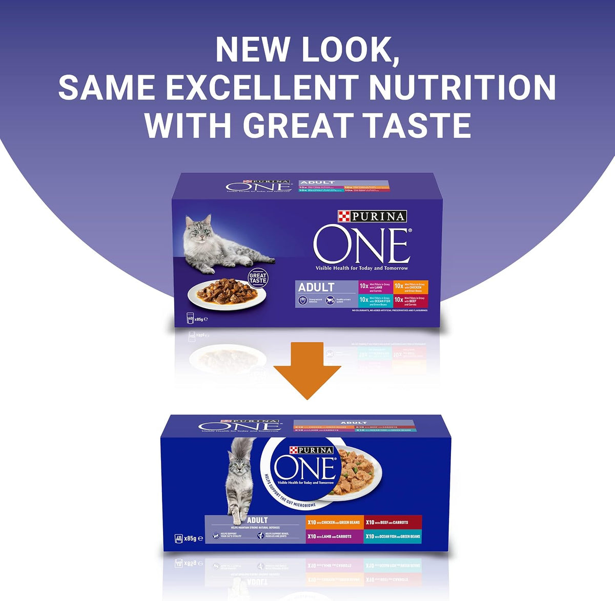 PURINA ONE Mini Fillets Mixed Selection in Gravy Adult Wet Cat Food 40x85g