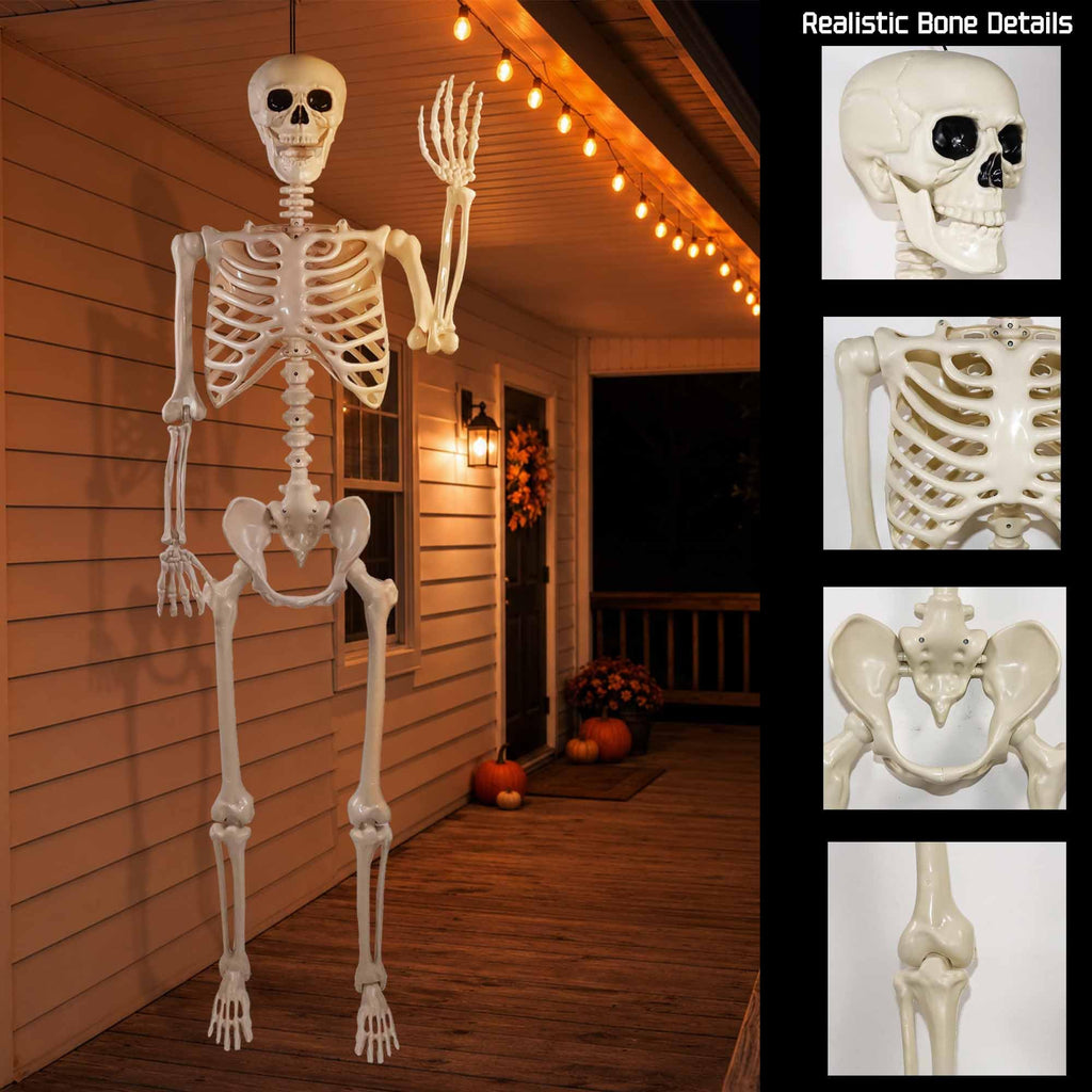 2 Pack 36"Halloween Skeleton - 3 ft Life Size Human Skeleton with Full Body Posable Joints Plastic Skeleton for Halloween Skeletons Decor Yard Patio Lawn Garden Skeleton Props Spooky Party Decoration
