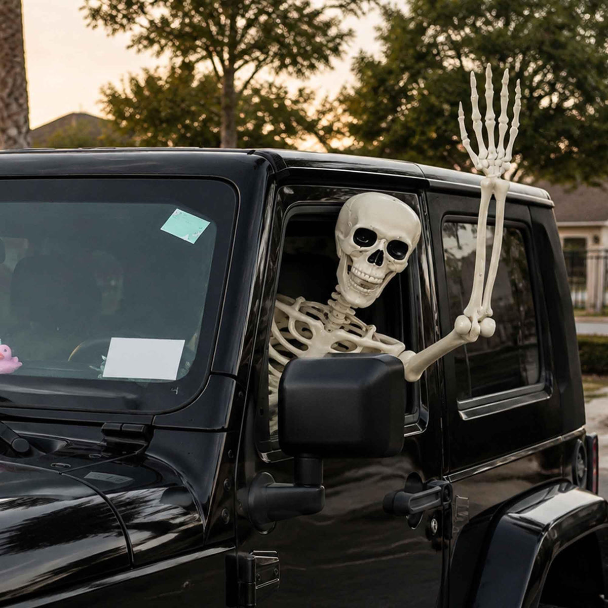 2 Pack 36"Halloween Skeleton - 3 ft Life Size Human Skeleton with Full Body Posable Joints Plastic Skeleton for Halloween Skeletons Decor Yard Patio Lawn Garden Skeleton Props Spooky Party Decoration