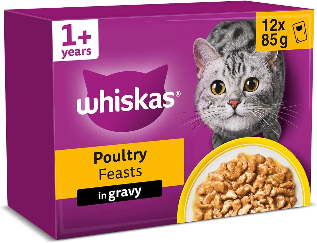 WHISKAS Adult Wet Cat Food in Jelly 40x85g Fish Favourites