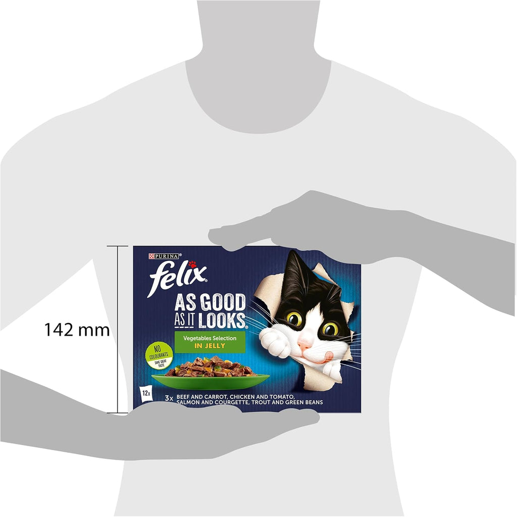 FELIX Doubly Delicious Countryside Selection in Jelly Wet Cat Food 40x85g