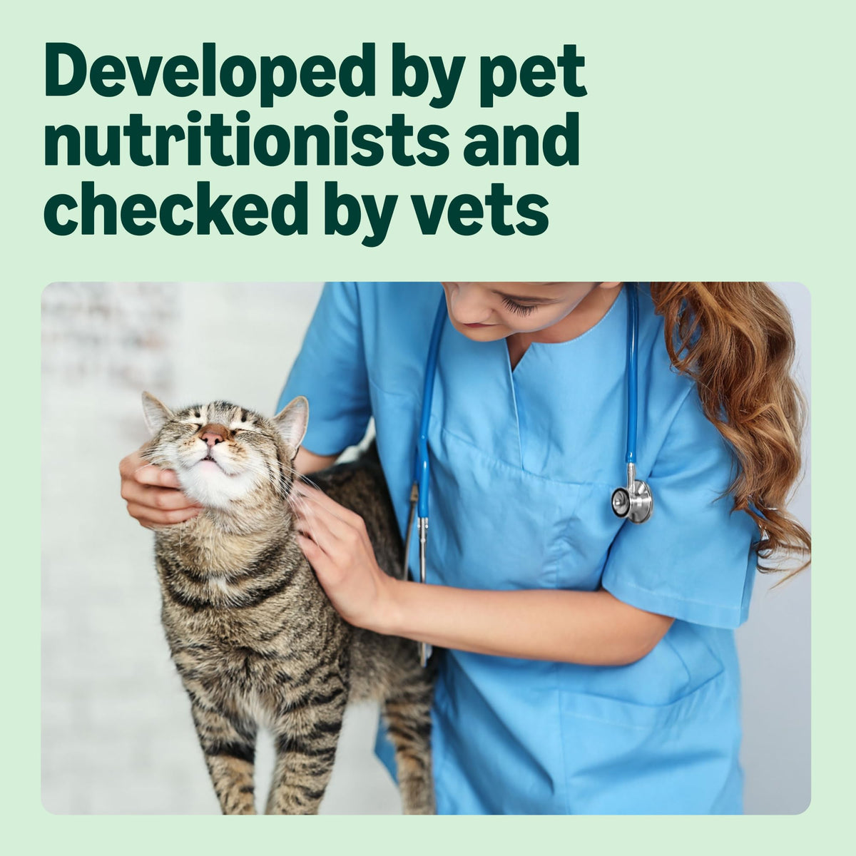 by Amazon - Complete Dry Cat Food with Salmon, Tuna and Vegetables, 1 pack of 3kg