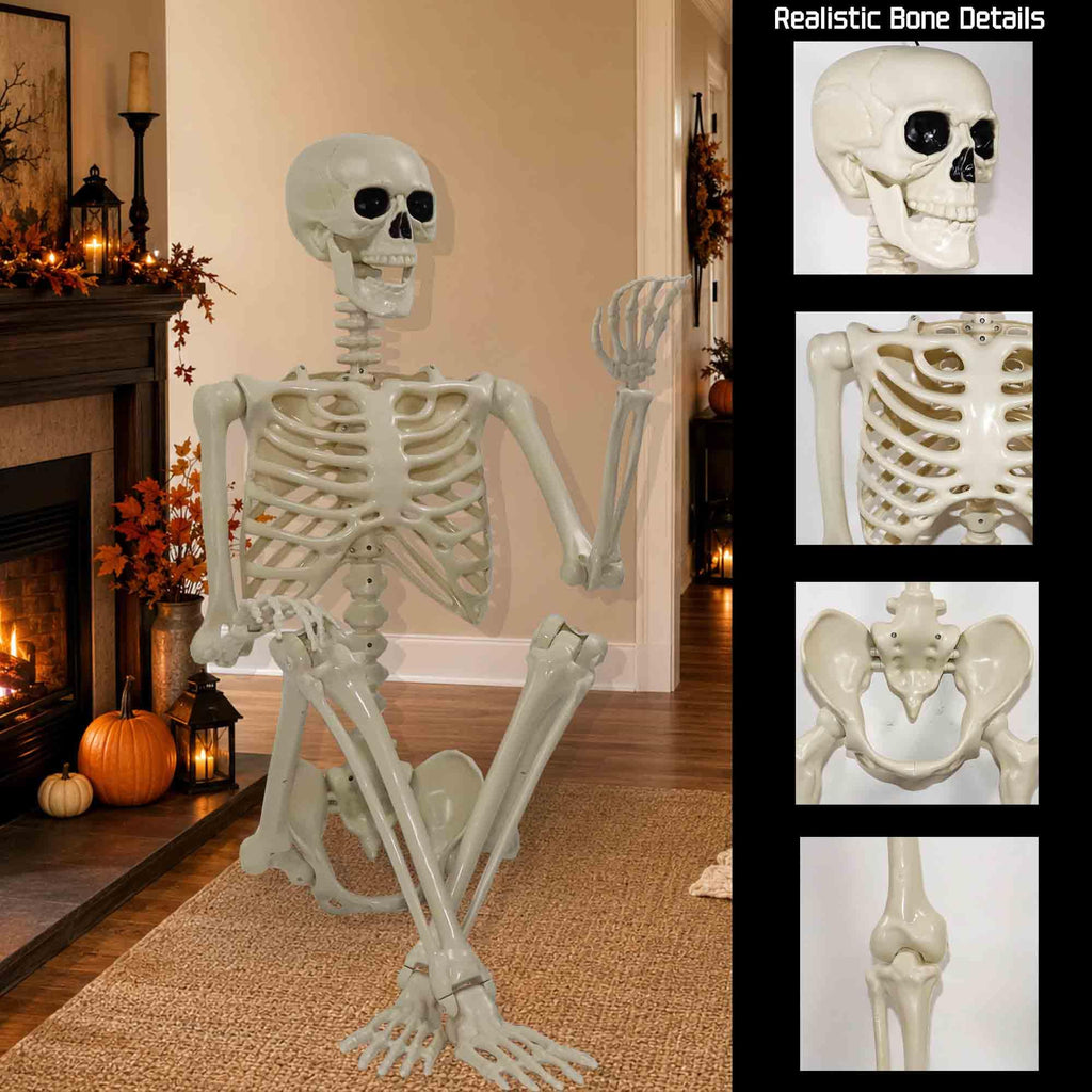 2 Pack 36"Halloween Skeleton - 3 ft Life Size Human Skeleton with Full Body Posable Joints Plastic Skeleton for Halloween Skeletons Decor Yard Patio Lawn Garden Skeleton Props Spooky Party Decoration