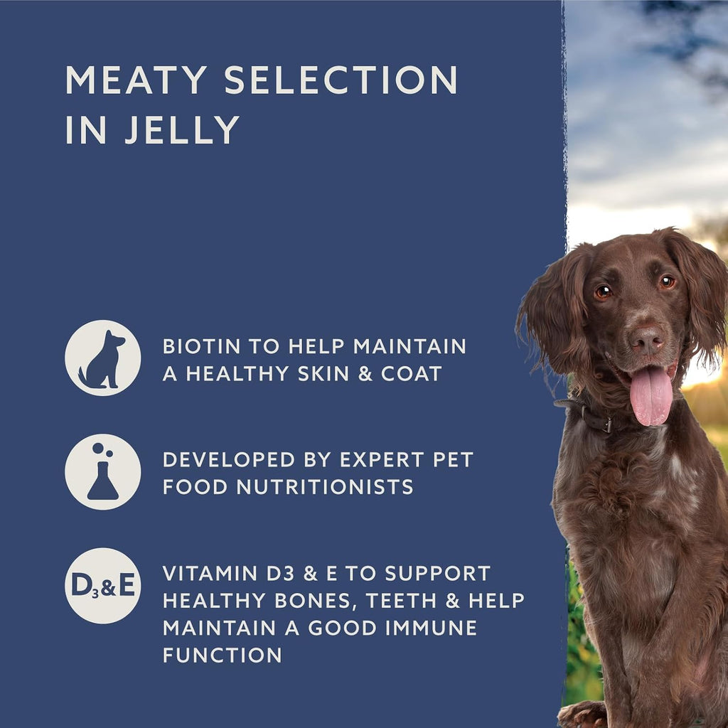 by Amazon Complete Wet Food for Adult Dogs, Meat Selection in Gravy, 4.8 kg (48 pouches of 100g)