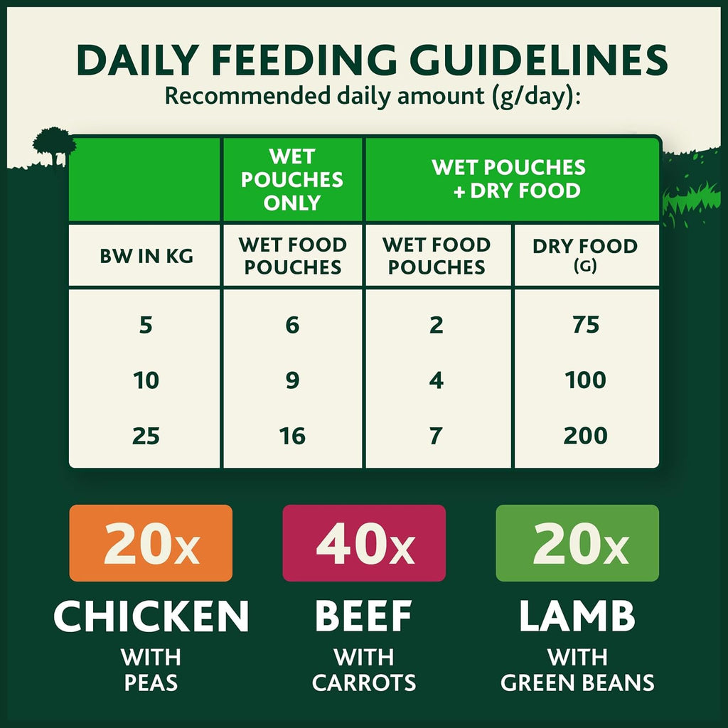 WINALOT Sunday Dinner Mixed in Gravy Wet Dog Food Pouches 40x100g
