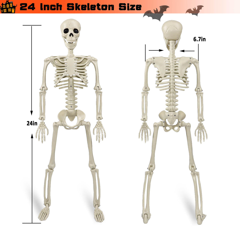 2 Pack 36"Halloween Skeleton - 3 ft Life Size Human Skeleton with Full Body Posable Joints Plastic Skeleton for Halloween Skeletons Decor Yard Patio Lawn Garden Skeleton Props Spooky Party Decoration