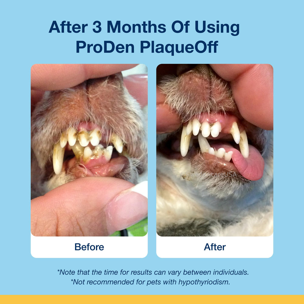 ProDen PlaqueOff 180g Powder for Dogs - VOHC Accepted 18-Month Supply