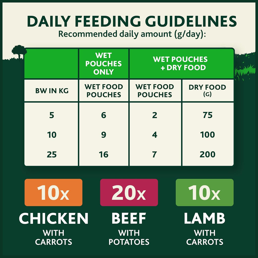 WINALOT Sunday Dinner Mixed in Gravy Wet Dog Food Pouches 40x100g