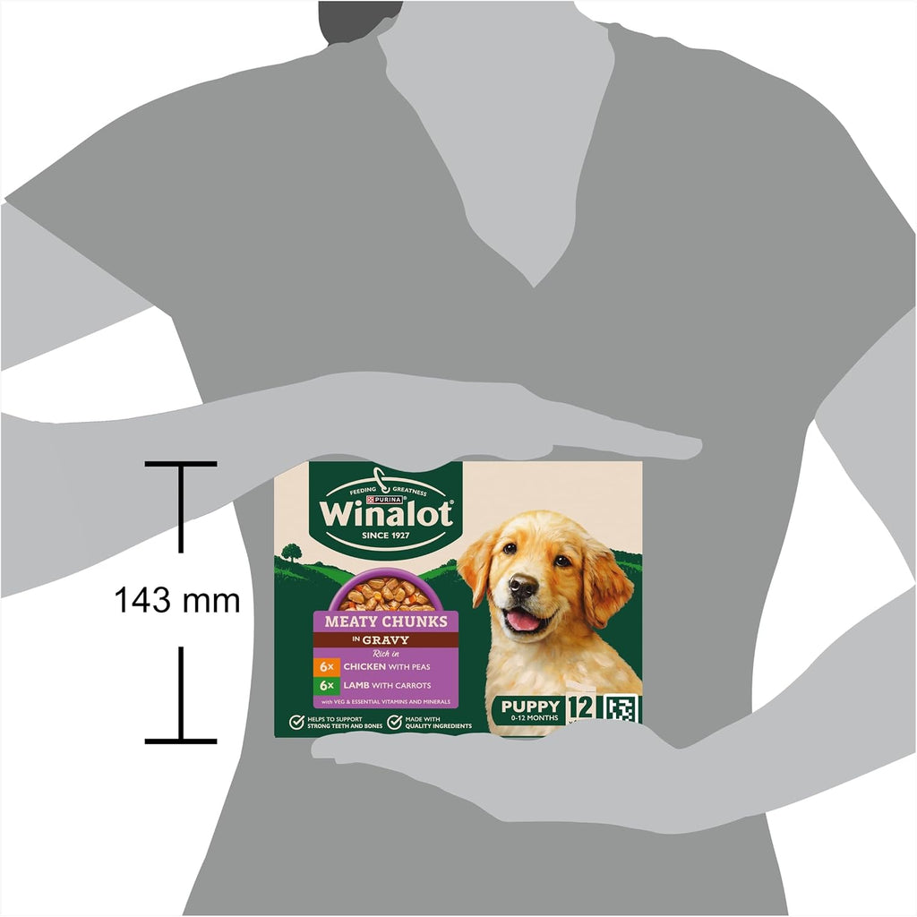 WINALOT Sunday Dinner Mixed in Gravy Wet Dog Food Pouches 40x100g