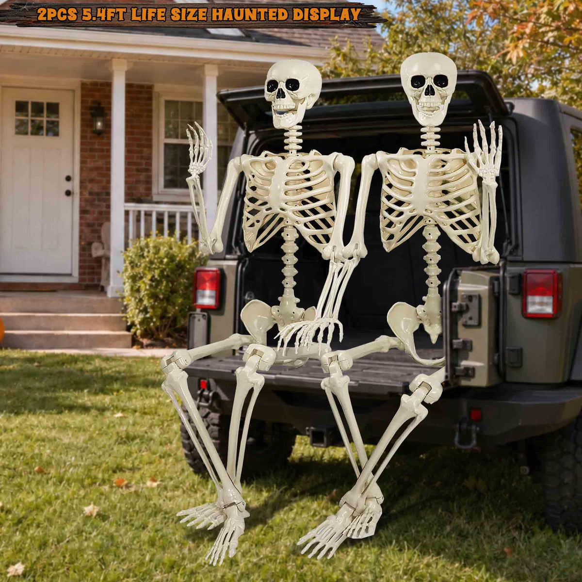 2 Pack 36"Halloween Skeleton - 3 ft Life Size Human Skeleton with Full Body Posable Joints Plastic Skeleton for Halloween Skeletons Decor Yard Patio Lawn Garden Skeleton Props Spooky Party Decoration