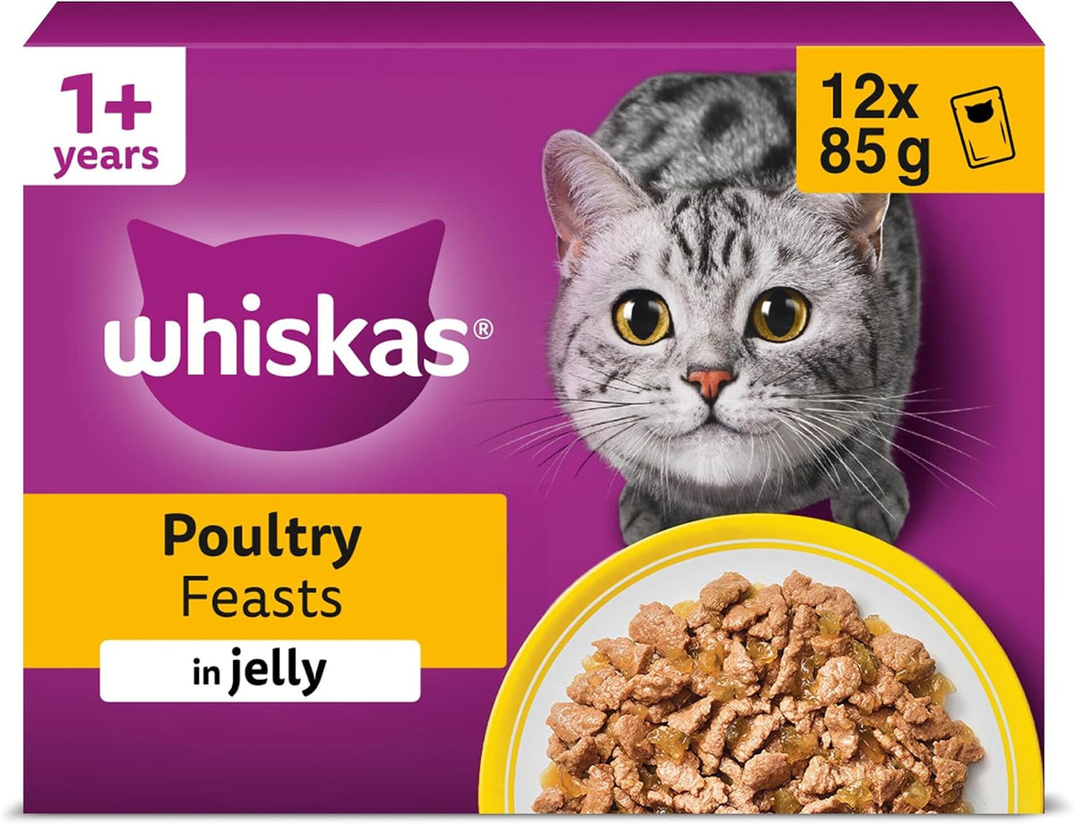 WHISKAS Adult Wet Cat Food in Jelly 40x85g Fish Favourites