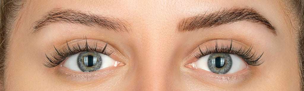 Eylure DYBROW Eyebrow Dye Kit, Dark Brown