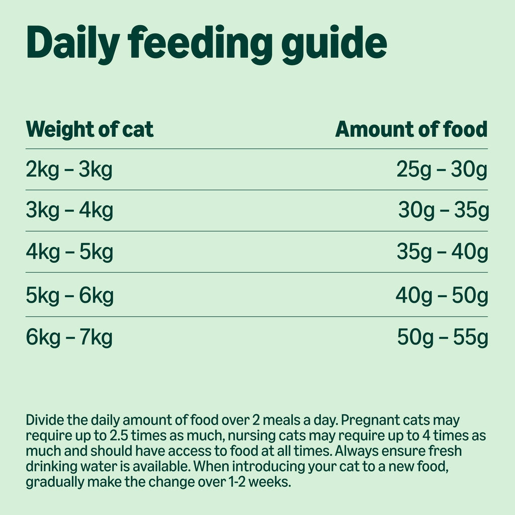 by Amazon - Complete Dry Cat Food with Salmon, Tuna and Vegetables, 1 pack of 3kg