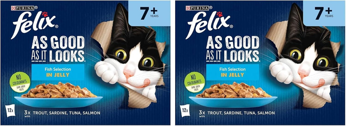 FELIX Doubly Delicious Countryside Selection in Jelly Wet Cat Food 40x85g