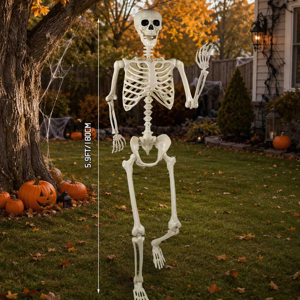 2 Pack 36"Halloween Skeleton - 3 ft Life Size Human Skeleton with Full Body Posable Joints Plastic Skeleton for Halloween Skeletons Decor Yard Patio Lawn Garden Skeleton Props Spooky Party Decoration
