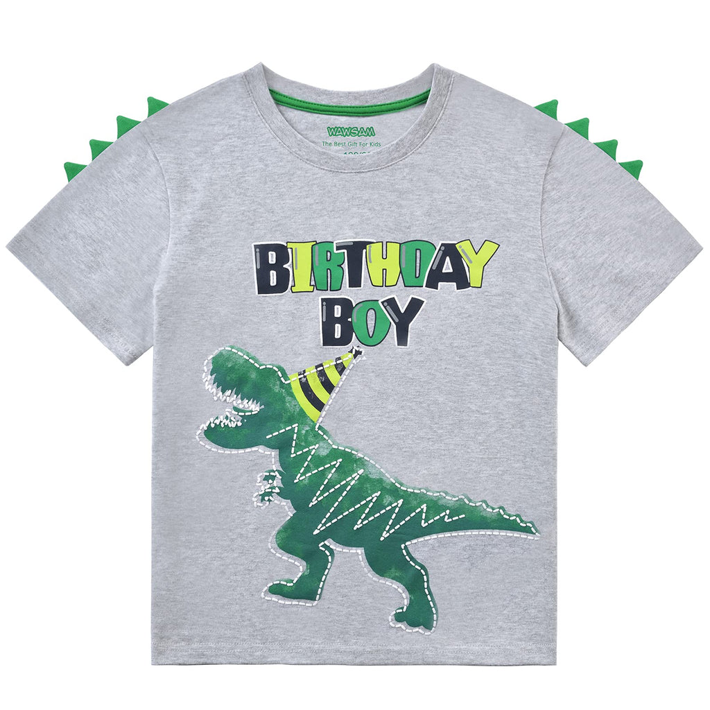 WAWSAM Birthday Boy T Shirt Baby B-Day Dino Party Shirts T Rex Top Tee Gift