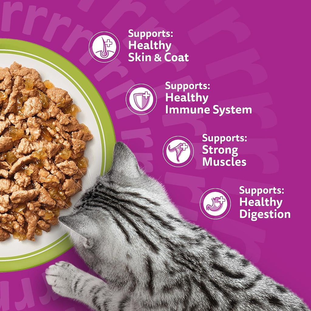 WHISKAS Adult Wet Cat Food in Jelly 40x85g Fish Favourites
