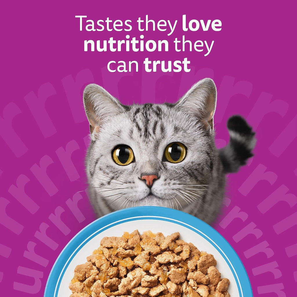 WHISKAS Adult Wet Cat Food in Jelly 40x85g Fish Favourites