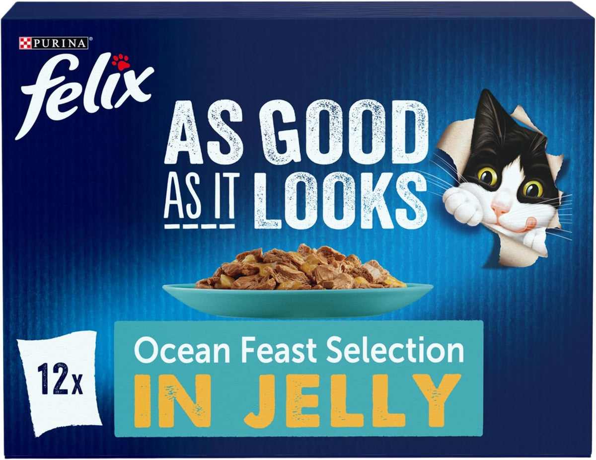 FELIX Doubly Delicious Countryside Selection in Jelly Wet Cat Food 40x85g