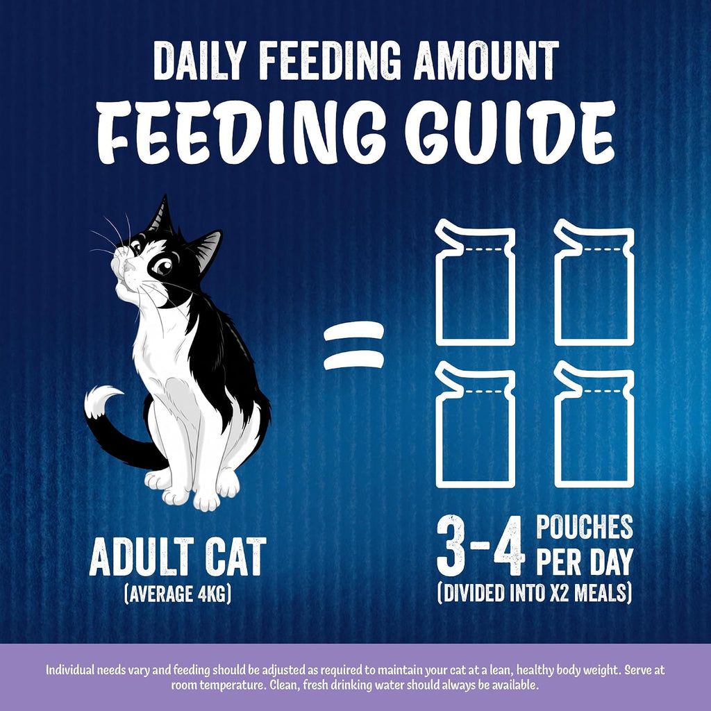 FELIX Doubly Delicious Countryside Selection in Jelly Wet Cat Food 40x85g