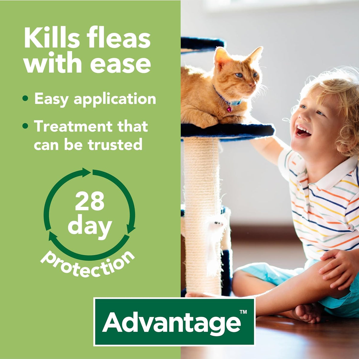 Advantage Spot On Flea Treatment, 4 Pack, Large Cats & Rabbits 4kg+, 80mg | Large cat and rabbit flea drops, Kills fleas within 24 hours, Protects for 4 weeks, Easy to apply, Monthly prevention