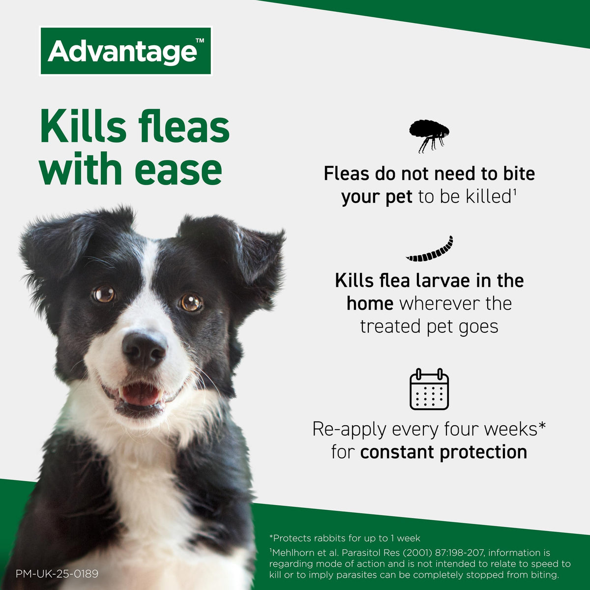 Advantage Spot On Flea Treatment, 4 Pack, Large Cats & Rabbits 4kg+, 80mg | Large cat and rabbit flea drops, Kills fleas within 24 hours, Protects for 4 weeks, Easy to apply, Monthly prevention
